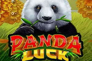 Playtech : Panda Luck - SUNBET388