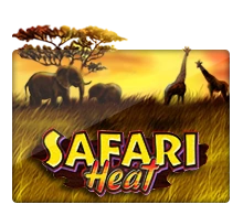 Joker123 : Safari Heat - SUNBET388