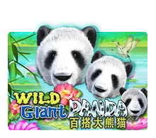 Joker123 : Wild Giant Panda - SUNBET388
