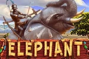 PLAYSTAR : ELEPHANT - SUNBET388
