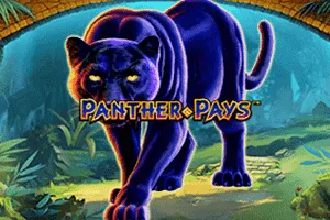Playtech : Panther Pays - SUNBET388