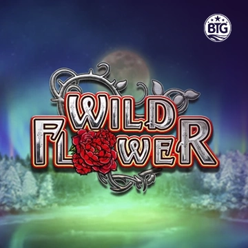 Bigtime : Wild Flower - SUNBET388