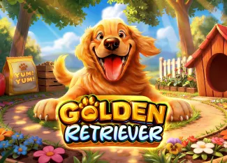 Golden Retriever - SUNBET388