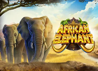 Pragmatic : African Elephant - SUNBET388